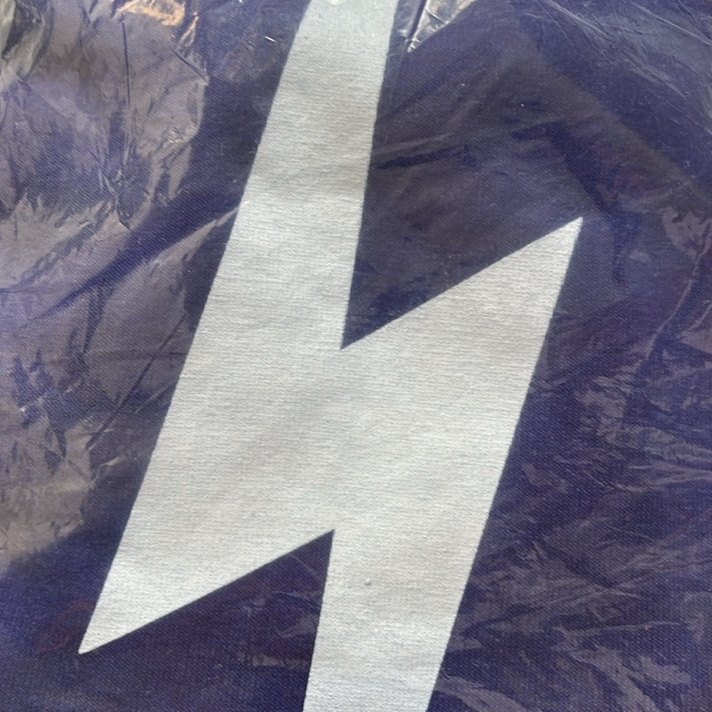 NWT Aviator Nation Sweatpant - Picture 4 of 5